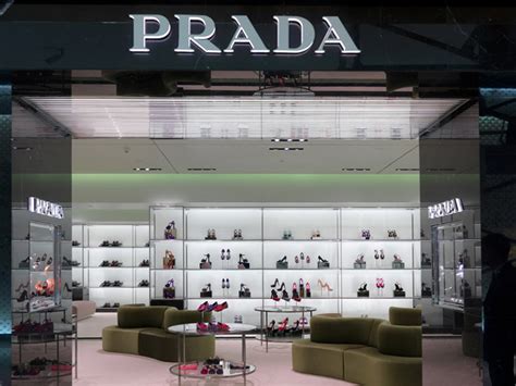 shop prada shoes polyvore